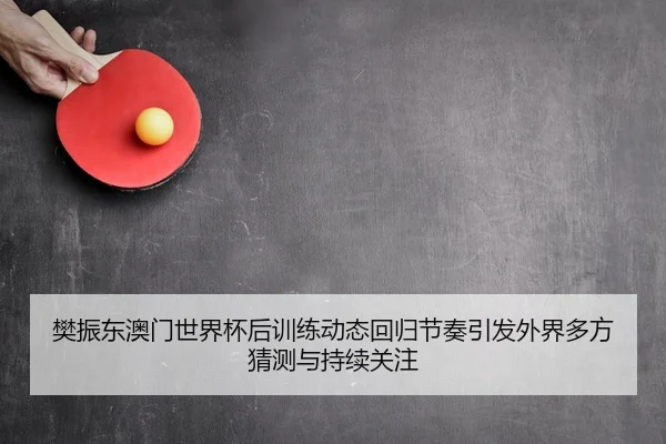 樊振东澳门世界杯后训练动态回归节奏引发外界多方猜测与持续关注
